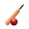 cricket icon